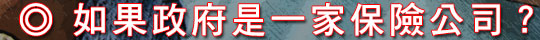 如果政府是一家保險公司？